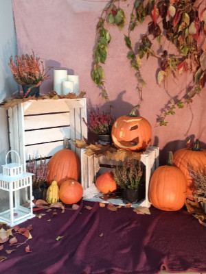 przedszkole niepubliczne